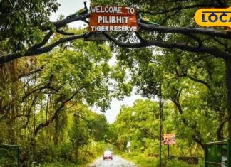 Tourist spots in Pilibhit: पीलीभीत के 5 फेमस टूरिस्ट स्पॉट, पर्यटकों के बीच है बेहद लोकप्रिय