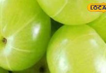 रोज खाएं बस एक आंवला, बालों से लेकर त्वचा तक दिखेंगे चमत्कारी बदलाव