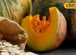 Natural Multivitamin Seeds | Health Tips | Immunity Booster | Herbal Medicine | Energy Seeds | Natural Remedies | Ayurvedic Health | Power of Seeds | Healthy Lifestyle