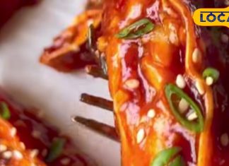 Chili Momos Recipe: एकदम रेस्टोरेंट स्टाइल चिली मोमोज बनाएं 20 मिनट में, विंटर का परफेक्ट स्नैक, टेस्ट में बेस्ट! – Jharkhand News