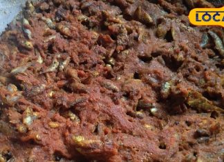 खेतों और नारवा से पकड़कर लाते हैं कोतरी मछली, नोट करें छत्तीसगढ़िया डिश की रेसिपी – Chhattisgarh News