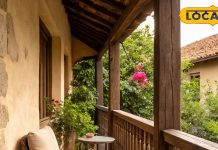 घर में लगाएं बस ये 3 पौधे, देखते ही देखते बदल जाएगी किस्मत, वास्तु शास्त्र में बताए गए हैं बेहद खास