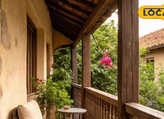 घर में लगाएं बस ये 3 पौधे, देखते ही देखते बदल जाएगी किस्मत, वास्तु शास्त्र में बताए गए हैं बेहद खास