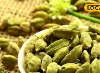 मसालों की रानी! छोटा सा दाना दवाई का बाप, बलगम को निकाल फेकेगा बाहर, मुंह की बदबू गायब, BP में फायदेमंद – Jharkhand News