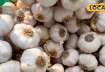 सर्दियों में खा लेंगे ये देसी चीज, नहीं पड़ेंगे कभी बीमार, ठंड के लिए है रामबाण इलाज