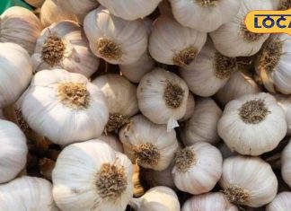 सर्दियों में खा लेंगे ये देसी चीज, नहीं पड़ेंगे कभी बीमार, ठंड के लिए है रामबाण इलाज