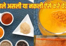 How to check real and fake spices at home: हल्दी, मिर्च, हींग असली है या नकली? घर बैठे इन 5 सिंपल हैक्स से करें चेक