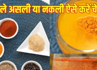 How to check real and fake spices at home: हल्दी, मिर्च, हींग असली है या नकली? घर बैठे इन 5 सिंपल हैक्स से करें चेक