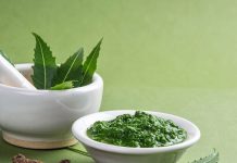 Neem Daatun benefits। घर में नीम की दातुन रखने से खुलते हैं किस्मत के द्वार