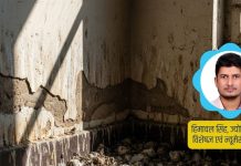 North West direction Vastu। घर में कबूतर आने का कारण वास्तु