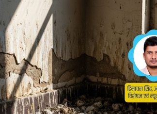 North West direction Vastu। घर में कबूतर आने का कारण वास्तु