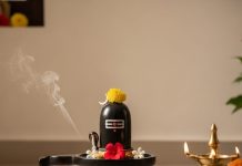 Shivling vastu tips: भगवान शिव की मूर्ति या शिवलिंग घर में किस दिशा में रखें वास्तु टिप्स.