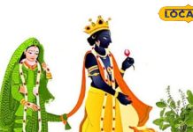Tulsi Vivah 2025 : 2 या 3 नवंबर, कब है तुलसी विवाह? उज्जैन के आचार्य से जानें पूजा की सही विधि और शुभ मुहूर्त