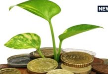 Vastu Tips : घर में लगाएं ये 5 पेड़-पौधे, पैसों की तंगी होगी दूर, धन की देवी करेंगी निवास!