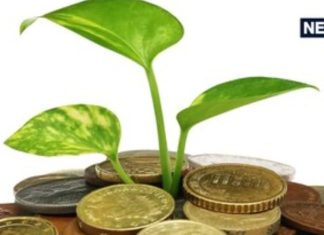 Vastu Tips : घर में लगाएं ये 5 पेड़-पौधे, पैसों की तंगी होगी दूर, धन की देवी करेंगी निवास!