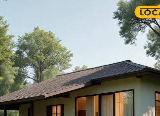 Vastu Tips : दक्षिण मुखी घर में होगी खुशियों की बारिश… बस करें वास्तु के ये 5 अचूक उपाय