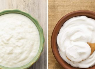 Difference between curd and yogurt। 15 मिनट में दही जमाने का तरीका