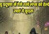 Foods to strengthen your lungs in air Pollution: वायु प्रदूषण के कारण सांस लेना हो रहा है दूभर, खाएं ये 6 चीजें