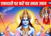 rama ekadashi 2025 Upay Rama Ekadashi puja vidhi Shubh yog and Astrological Remedies of rama ekadashi | रमा एकादशी पर करें कौड़ी से जुड़ा यह छोटा-सा उपाय, बदल जाएंगे तारे-सितारे, धन समेत हर समस्या होगी दूर