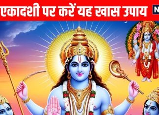 rama ekadashi 2025 Upay Rama Ekadashi puja vidhi Shubh yog and Astrological Remedies of rama ekadashi | रमा एकादशी पर करें कौड़ी से जुड़ा यह छोटा-सा उपाय, बदल जाएंगे तारे-सितारे, धन समेत हर समस्या होगी दूर