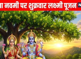 shukrawar lakshmi puja and Amla Navami 2025 shubh yog know lakshmi puja Vidhi and muhurat and importance | शुभ योग में माता लक्ष्मी व्रत और आंवला नवमी पूजा, जानें महत्व और पूजा विधि और पूजन का समय