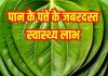 Paan Ke Patta Ke Fayde: पाने के पत्ते के स्वास्थ्य लाभ और इस्तेमाल का तरीका
