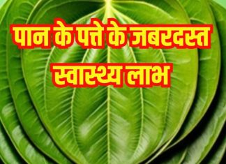 Paan Ke Patta Ke Fayde: पाने के पत्ते के स्वास्थ्य लाभ और इस्तेमाल का तरीका