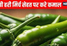 Hari mirch khane ke fayde: हरी मिर्च खाने के 5 फायदे लेकिन ये लोग बिल्कुल न खाएं