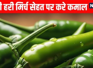 Hari mirch khane ke fayde: हरी मिर्च खाने के 5 फायदे लेकिन ये लोग बिल्कुल न खाएं