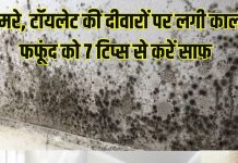 How to remove black mold from toilet kitchen walls: टॉयलेट, किचन की दीवारों पर लगी काली फफूंद को इन 7 सस्ते टिप्स से हटाएं