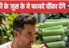 Bottle Gourd Juice Benefits for Heart and Digestion | हार्ट और पेट के लिए रामबाण है लौकी का जूस