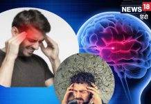सिर में लगातार हो रहा है दर्द तो क्या हो सकता है ब्रेन स्ट्रोक? जानें एक्सपर्ट की राय – Bharat.one हिंदी