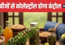 Ayurvedic Ways to Control Cholesterol | कोलेस्ट्रॉल कंट्रोल करने के 5 आयुर्वेदिक उपाय