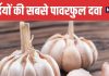 Amazing Health Benefits of Consuming Garlic in Winter Season | सर्दियों में लहसुन खाने के फायदे