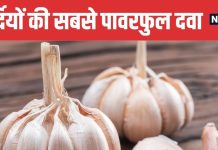 Amazing Health Benefits of Consuming Garlic in Winter Season | सर्दियों में लहसुन खाने के फायदे