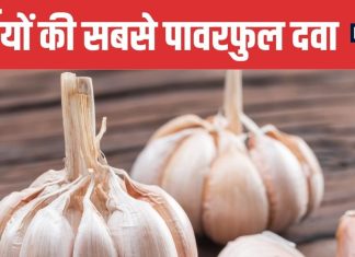 Amazing Health Benefits of Consuming Garlic in Winter Season | सर्दियों में लहसुन खाने के फायदे