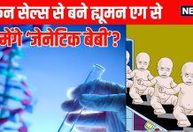 How genetic babies will born with using skin cells: इंसानों की सेल्स से बनाए जाएंगे ह्यूमन एग, जन्म लेंगे जेनेटिक बेबी?