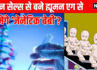 How genetic babies will born with using skin cells: इंसानों की सेल्स से बनाए जाएंगे ह्यूमन एग, जन्म लेंगे जेनेटिक बेबी?