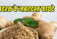 Adrak khane ke fayde: सर्दियों में अदरक खाने के फायदे और सेवन का तरीका