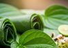 Benefits of Betel Leaves। पान खाने का सही तरीका और फायदे