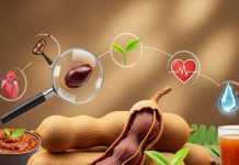 Tamarind benefits : मोटापे से लेकर लूज मोशन तक…इमली से बड़ा डॉक्टर कौन? इसके फायदे रामबाण – Uttarakhand News