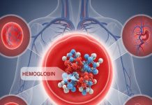 मर्द-औरत में कितना होना चाहिए हीमोग्लोबिन, खून में इसका क्या काम, कैसे बढ़ाएं इसे, जानिए सब चीज