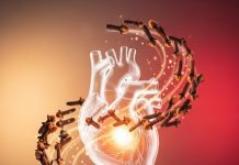 Clove Benefits for Heart Health | क्या लौंग खाने से हार्ट डिजीज का खतरा हो सकता है कम