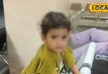 5 साल के बच्चे में अगर दिखें ये 4 लक्षण… तो समझें मंडरा रहा डायबिटीज का खतरा! जानें बचाव के उपाय – Uttarakhand News