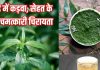 Chirayta ke fayde health benefits of chirata । स्वाद में कड़वा, सेहत के लिए चमत्कारी चिरायता, जानें फायदे