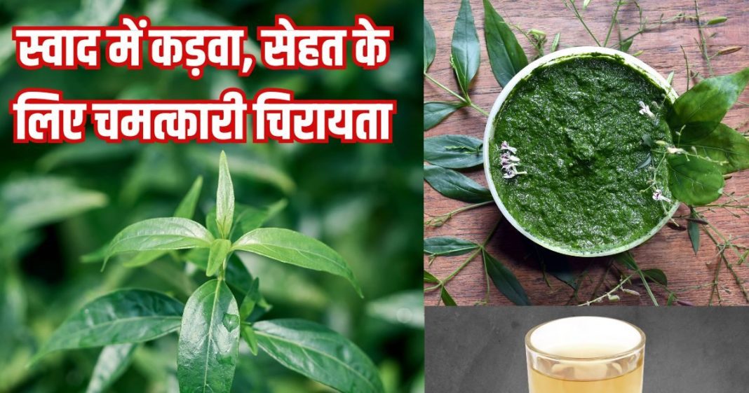 Chirayta ke fayde health benefits of chirata । स्वाद में कड़वा, सेहत के लिए चमत्कारी चिरायता, जानें फायदे