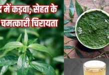 Chirayta ke fayde health benefits of chirata । स्वाद में कड़वा, सेहत के लिए चमत्कारी चिरायता, जानें फायदे