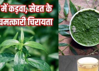 Chirayta ke fayde health benefits of chirata । स्वाद में कड़वा, सेहत के लिए चमत्कारी चिरायता, जानें फायदे