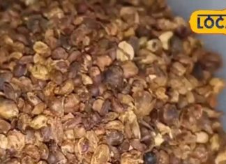 Health Benefits: इस छोटे से बीज को कहते हैं आयुर्वेद का ‘सुपरहीरो’! बालों से लेकर जोड़ों के दर्द तक में करता है कमाल – Uttar Pradesh News