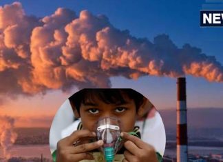 ozone pollution in india is big menace after air pollution in delhi ncr by cse expert vivek ओजोन प्रदूषण: देश पर आ गई नई आफत! एयर पॉल्यूशन से कितना खतरनाक? NGT के बाद एक्सपर्ट भी चिंतित